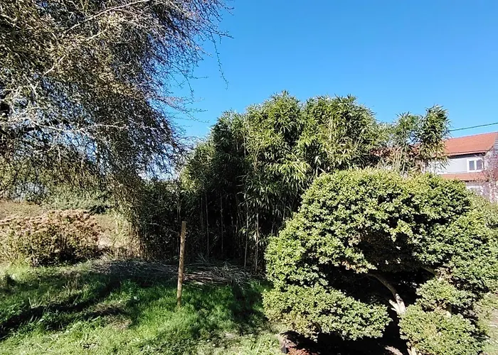 Holiday home Petit Nid Douillet Entre Et Foret