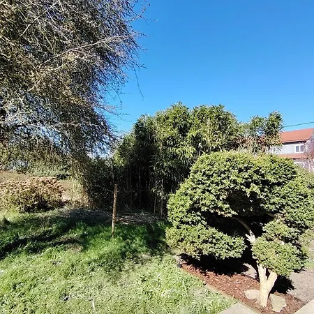 Holiday home Petit Nid Douillet Entre Et Foret