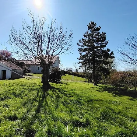 Petit Nid Douillet Entre Et Foret Holiday home Saint-Etienne-au-Mont